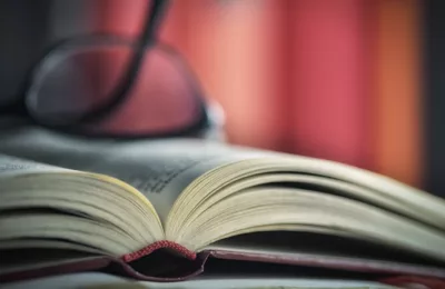 dictionary-use-law-education